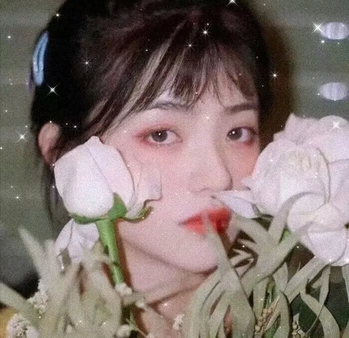 绿林艳妹